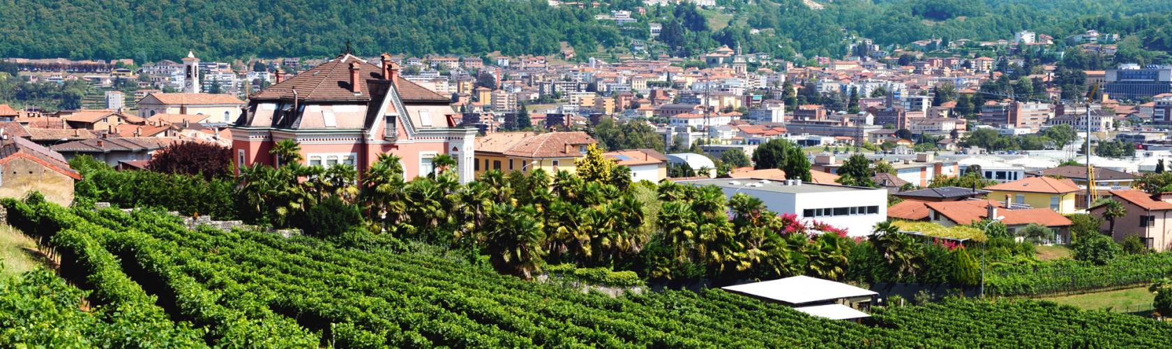 © Aziende Industriali Mendrisio - AIM