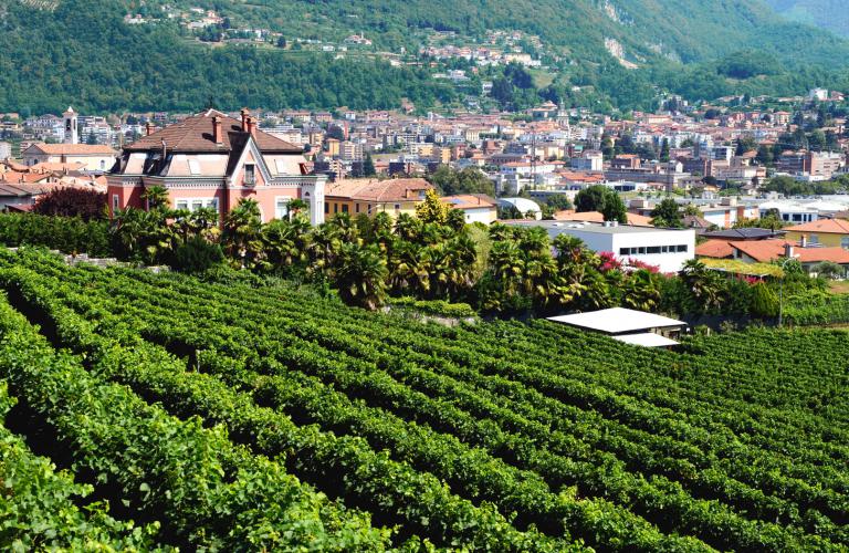 © Aziende Industriali Mendrisio - AIM