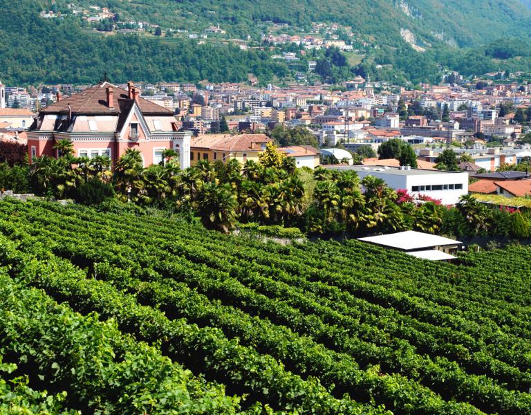 © Aziende Industriali Mendrisio - AIM